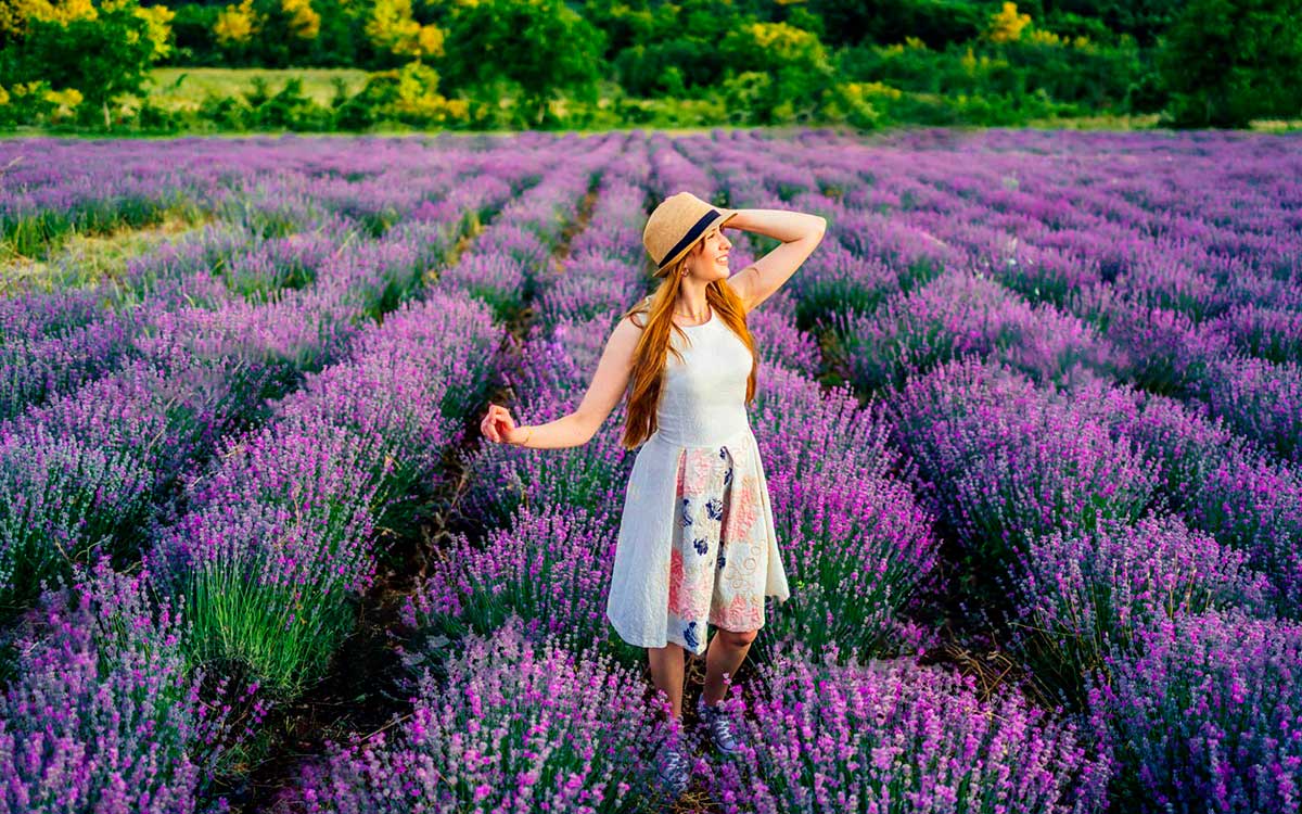 Shooting photo dans le champs de lavande en Provence